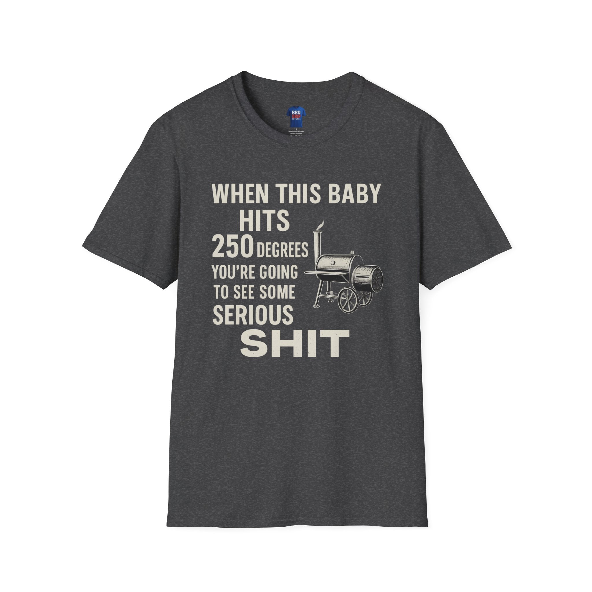 When this Baby Hits 250 Degrees, Back To the Future, Brisket, BBQ humor, Bbq T Shirt, Pitmaster, BBQ Dad, Bbq Cook, Unisex Softstyle T-Shirt