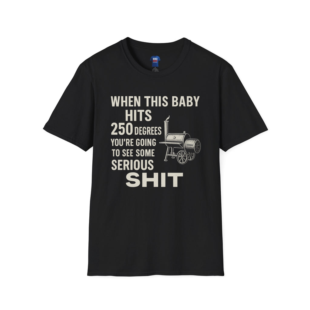 When this Baby Hits 250 Degrees, Back To the Future, Brisket, BBQ humor, Bbq T Shirt, Pitmaster, BBQ Dad, Bbq Cook, Unisex Softstyle T-Shirt