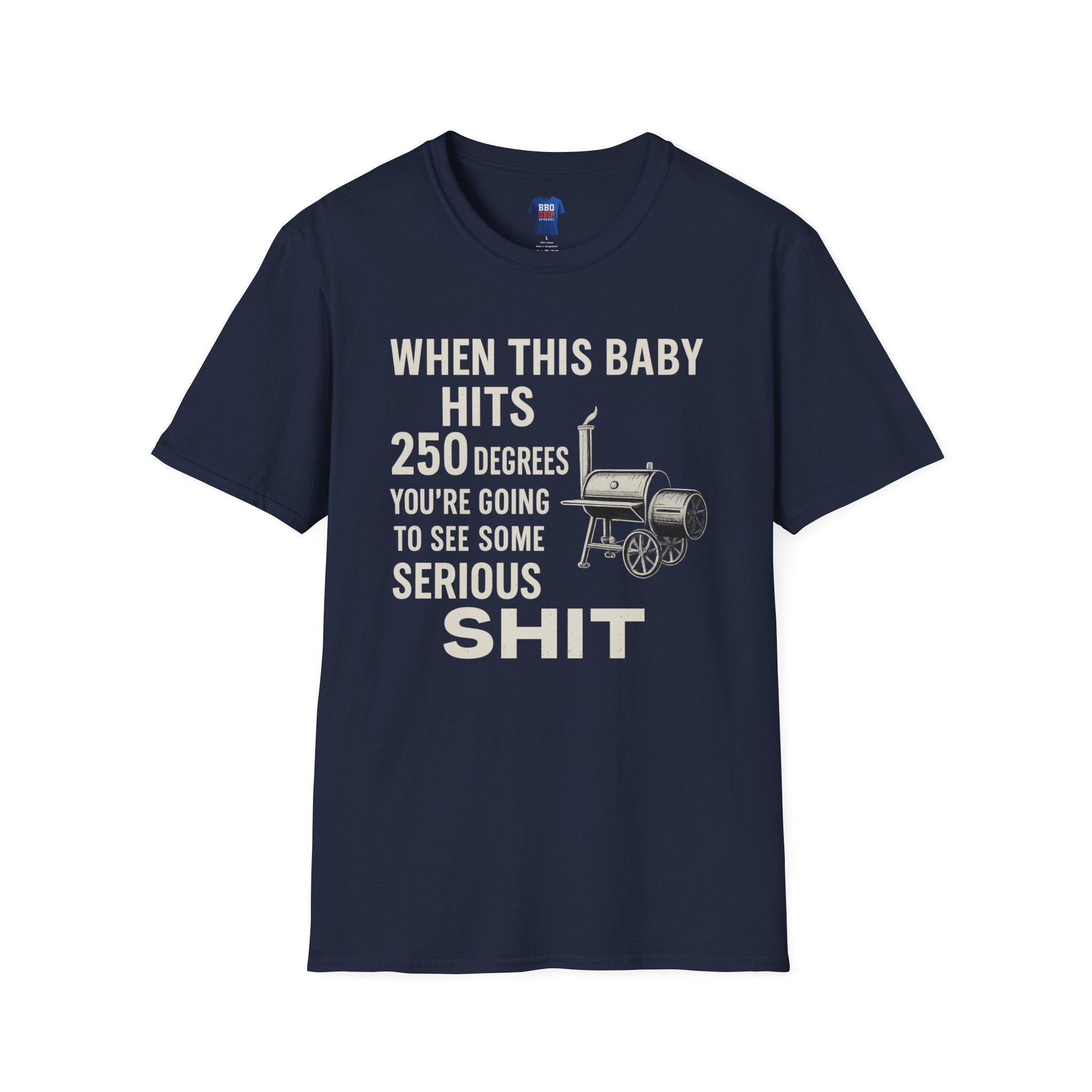 When this Baby Hits 250 Degrees, Back To the Future, Brisket, BBQ humor, Bbq T Shirt, Pitmaster, BBQ Dad, Bbq Cook, Unisex Softstyle T-Shirt