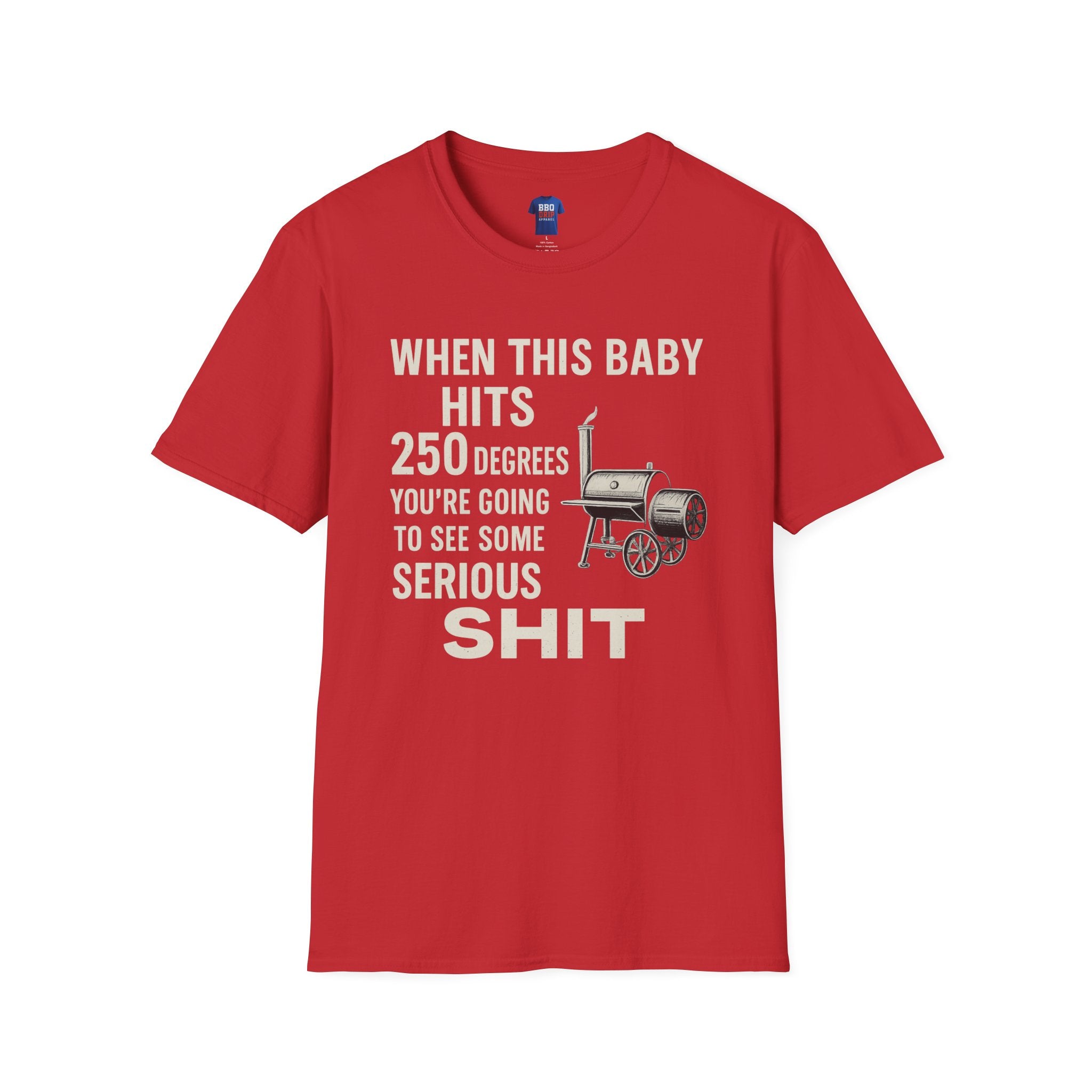 When this Baby Hits 250 Degrees, Back To the Future, Brisket, BBQ humor, Bbq T Shirt, Pitmaster, BBQ Dad, Bbq Cook, Unisex Softstyle T-Shirt